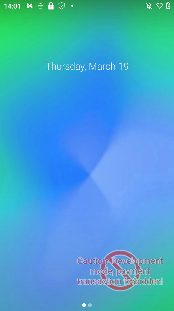 Development device home screen showing the flashing development warning